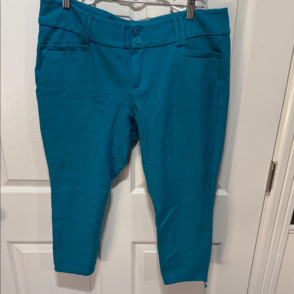 Torrid Vibrant Blue Cropped Pants